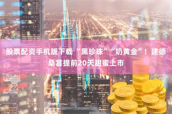 股票配资手机版下载 “黑珍珠”“奶黄金”！建德桑葚提前20天甜蜜上市