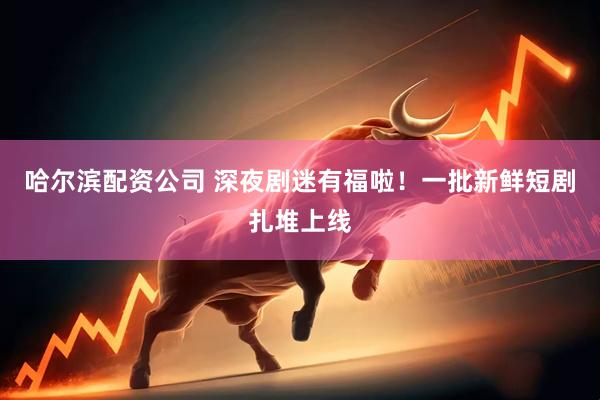 哈尔滨配资公司 深夜剧迷有福啦！一批新鲜短剧扎堆上线